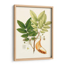 Follaje Verde Primavera Ix | Cuadro decorativo de Canvas Lab