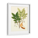 Follaje Verde Primavera Ix | Cuadro decorativo de Canvas Lab