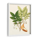 Follaje Verde Primavera Ix | Cuadro decorativo de Canvas Lab