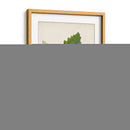 Estudio De Árbol Antiguo Ii | Cuadro decorativo de Canvas Lab