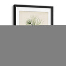 Estudio De Árbol Antiguo Iv | Cuadro decorativo de Canvas Lab