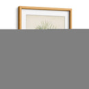 Estudio De Árbol Antiguo Iv | Cuadro decorativo de Canvas Lab