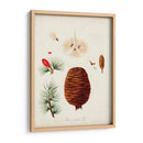 Estudio De Árbol Antiguo Vii | Cuadro decorativo de Canvas Lab