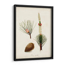 Estudio De Árbol Antiguo Viii | Cuadro decorativo de Canvas Lab