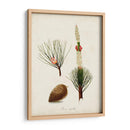 Estudio De Árbol Antiguo Viii | Cuadro decorativo de Canvas Lab