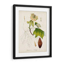 Estudio De Árbol Antiguo Ix | Cuadro decorativo de Canvas Lab