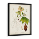 Estudio De Árbol Antiguo Ix | Cuadro decorativo de Canvas Lab