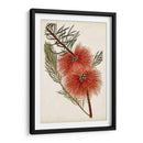 Cepillo De Botella Flor I - John Miller | Cuadro decorativo de Canvas Lab