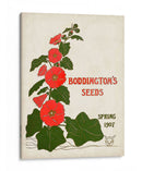 Paquetes De Semillas Antiguos I | Cuadro decorativo de Canvas Lab