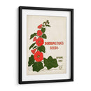 Paquetes De Semillas Antiguos I | Cuadro decorativo de Canvas Lab