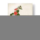 Paquetes De Semillas Antiguos I | Cuadro decorativo de Canvas Lab