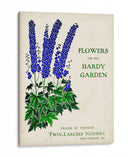 Paquetes De Semillas Antiguos Ii | Cuadro decorativo de Canvas Lab