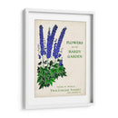 Paquetes De Semillas Antiguos Ii | Cuadro decorativo de Canvas Lab