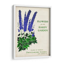 Paquetes De Semillas Antiguos Ii | Cuadro decorativo de Canvas Lab