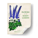 Paquetes De Semillas Antiguos Ii | Cuadro decorativo de Canvas Lab