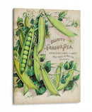 Paquetes De Semillas Antiguos V | Cuadro decorativo de Canvas Lab