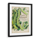 Paquetes De Semillas Antiguos V | Cuadro decorativo de Canvas Lab