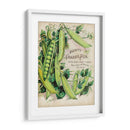 Paquetes De Semillas Antiguos V | Cuadro decorativo de Canvas Lab