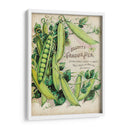 Paquetes De Semillas Antiguos V | Cuadro decorativo de Canvas Lab