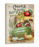 Paquetes De Semillas Antiguos Vi | Cuadro decorativo de Canvas Lab