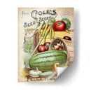 Paquetes De Semillas Antiguos Vi | Cuadro decorativo de Canvas Lab