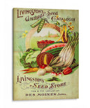 Paquetes De Semillas Antiguos Vii | Cuadro decorativo de Canvas Lab