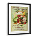 Paquetes De Semillas Antiguos Vii | Cuadro decorativo de Canvas Lab