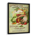 Paquetes De Semillas Antiguos Vii | Cuadro decorativo de Canvas Lab