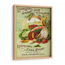 Paquetes De Semillas Antiguos Vii | Cuadro decorativo de Canvas Lab