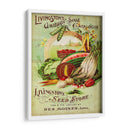 Paquetes De Semillas Antiguos Vii | Cuadro decorativo de Canvas Lab