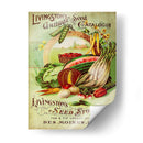 Paquetes De Semillas Antiguos Vii | Cuadro decorativo de Canvas Lab