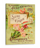 Paquetes De Semillas Antiguos Viii | Cuadro decorativo de Canvas Lab