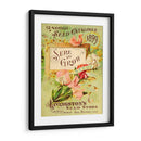 Paquetes De Semillas Antiguos Viii | Cuadro decorativo de Canvas Lab