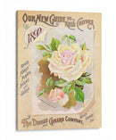 Paquetes De Semillas Antiguos Ix | Cuadro decorativo de Canvas Lab