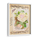 Paquetes De Semillas Antiguos Ix | Cuadro decorativo de Canvas Lab