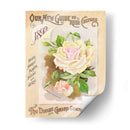 Paquetes De Semillas Antiguos Ix | Cuadro decorativo de Canvas Lab