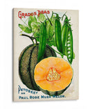 Paquetes De Semillas Antiguos X | Cuadro decorativo de Canvas Lab