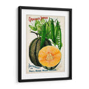 Paquetes De Semillas Antiguos X | Cuadro decorativo de Canvas Lab