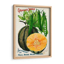 Paquetes De Semillas Antiguos X | Cuadro decorativo de Canvas Lab