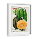 Paquetes De Semillas Antiguos X | Cuadro decorativo de Canvas Lab