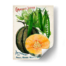 Paquetes De Semillas Antiguos X | Cuadro decorativo de Canvas Lab