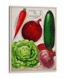 Paquetes De Semillas Antiguos Xi | Cuadro decorativo de Canvas Lab