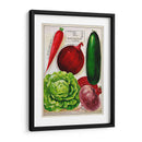 Paquetes De Semillas Antiguos Xi | Cuadro decorativo de Canvas Lab