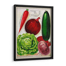 Paquetes De Semillas Antiguos Xi | Cuadro decorativo de Canvas Lab