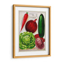 Paquetes De Semillas Antiguos Xi | Cuadro decorativo de Canvas Lab