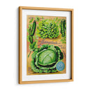 Paquetes De Semillas Antiguos Xii | Cuadro decorativo de Canvas Lab