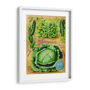 Paquetes De Semillas Antiguos Xii | Cuadro decorativo de Canvas Lab