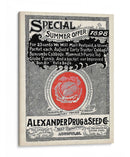 Paquetes De Semillas Antiguos Xiii | Cuadro decorativo de Canvas Lab