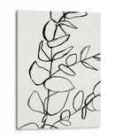 Contorno De Ramita Ii - Susan Savory | Cuadro decorativo de Canvas Lab
