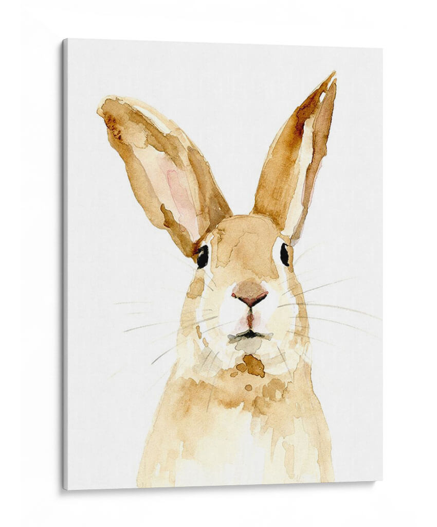 Bunn Ii - Susan Savory | Cuadro decorativo de Canvas Lab